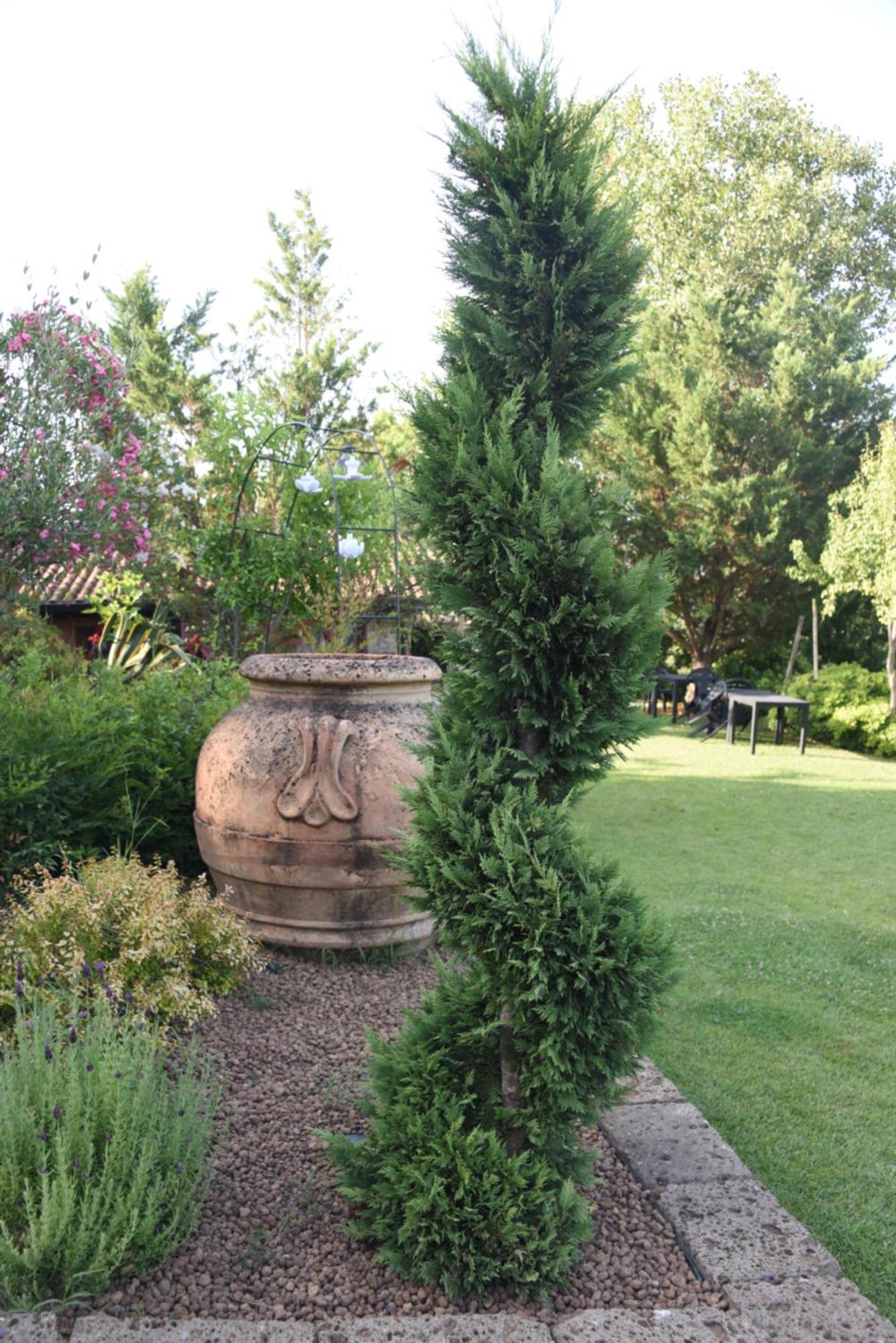 Bosco D'Olmi Country House Sant'Andrea del Garigliano ภายนอก รูปภาพ