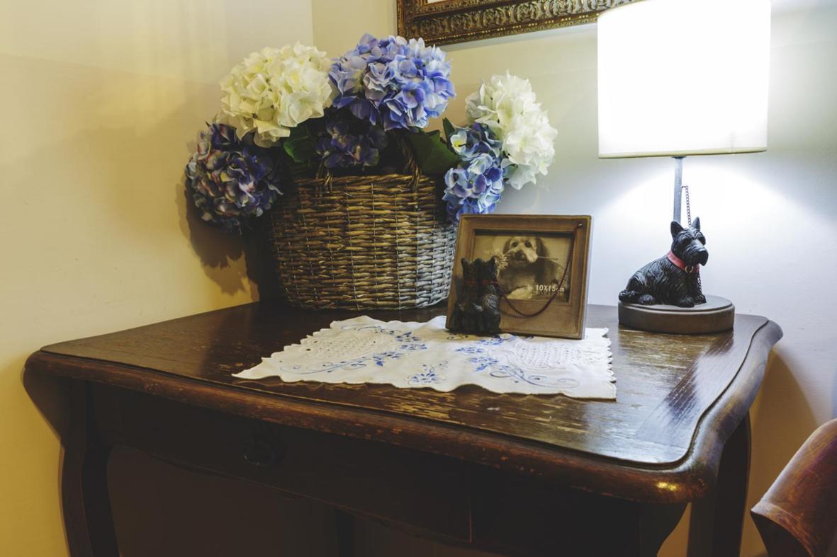 Bosco D'Olmi Country House Sant'Andrea del Garigliano ภายนอก รูปภาพ